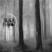 Black Forest (USA) : Black Forest